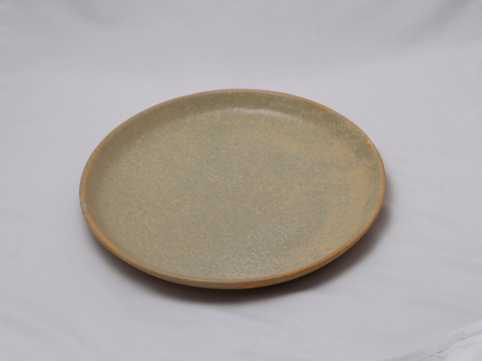 AVAAN Dinner Plate detail 2