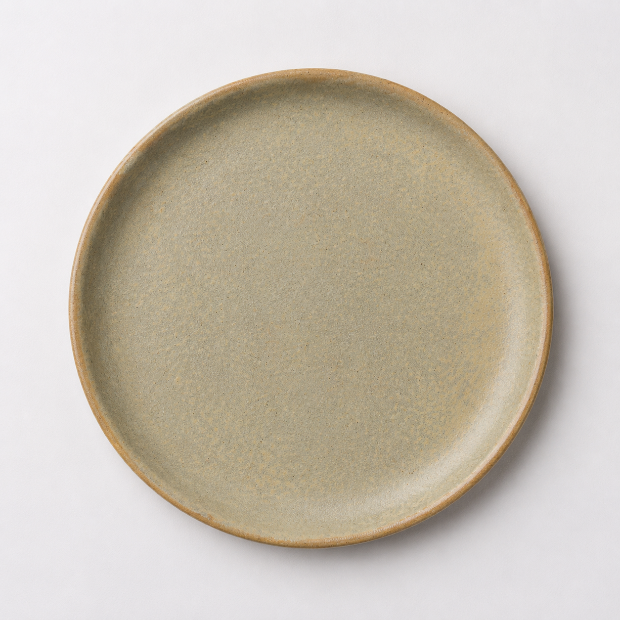 AVAAN Dinner Plate